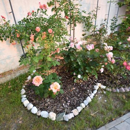Apartmaji Lejardin Škofljica Esterno foto