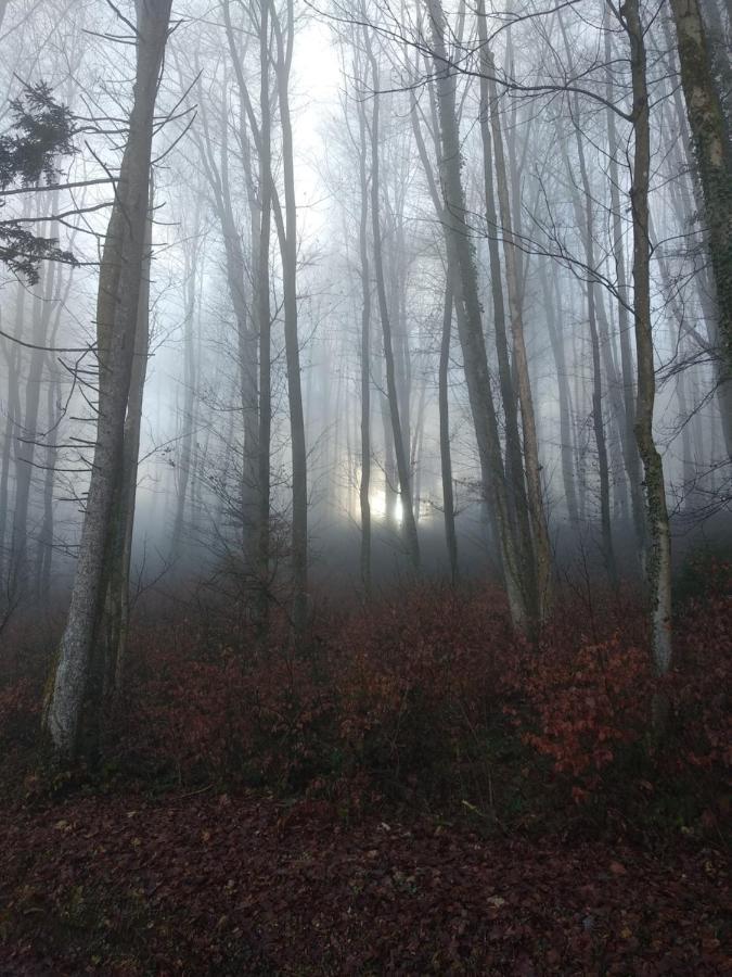 Apartmaji Lejardin Škofljica Esterno foto